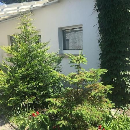 Kleines Haeuschen Am Garten In Darmstadt Kültér fotó